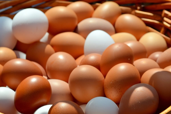 Eierspeisen